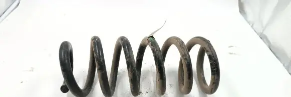 Ford Taurus Rear coil spring 6S99L9