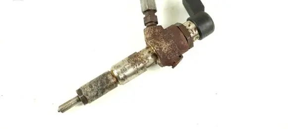 Ford Fiesta Fuel injector 9663429280 5WS40149-Z