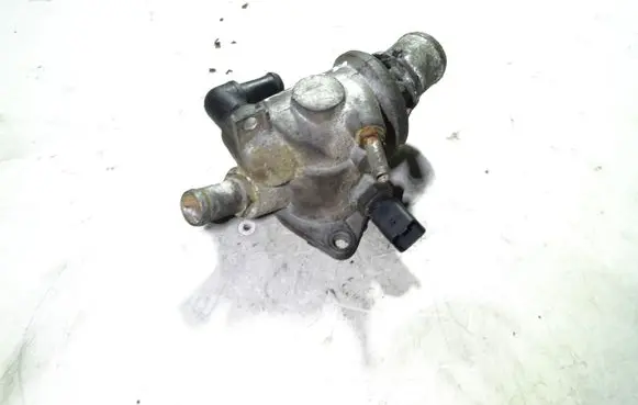 Thermostat/thermostat housing