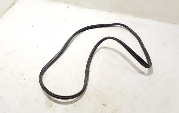 Fiat 500L Rear door rubber seal (on body) 51905922