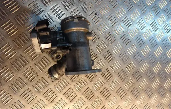 Mercedes-Benz C W203 EGR valve A646090
