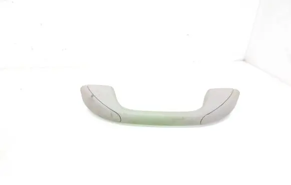 Dacia Sandero II Rear interior roof grab handle