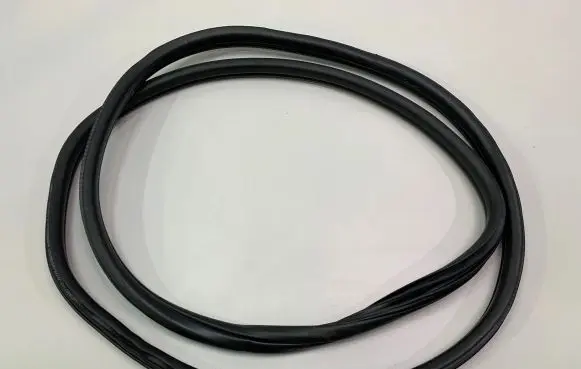 BMW X2 F39 Rear door rubber seal (on body) 7420803