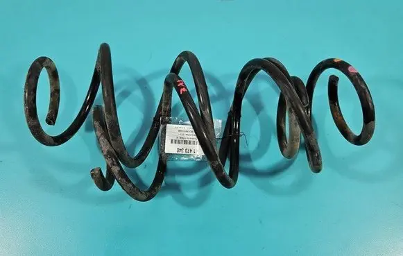 Rear coil spring