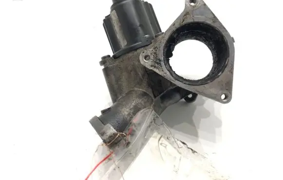 EGR valve