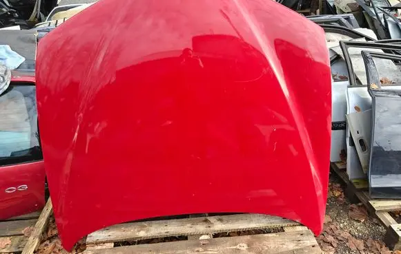 Engine bonnet/hood