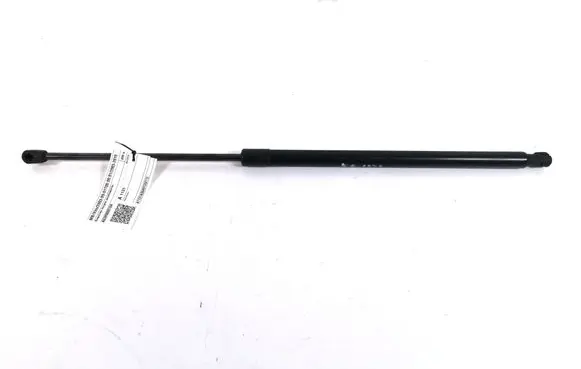Tailgate strut