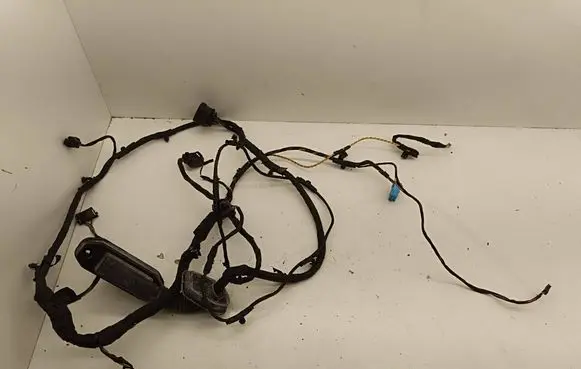 BMW 6 F06 Gran coupe Rear door wiring loom 9255415 4877336 EGG752
