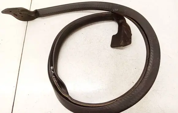 Honda Odyssey Rubber seal rear door THRST02