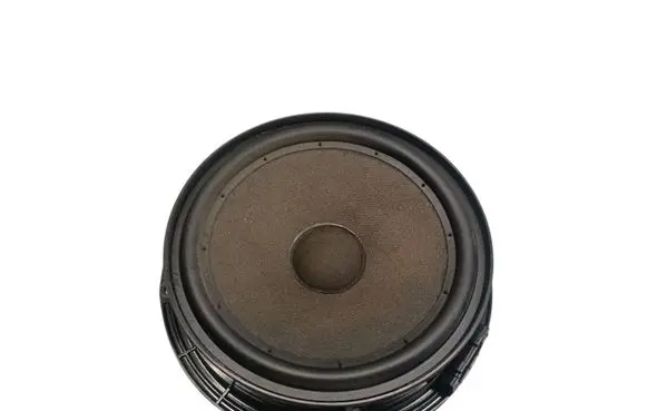 Front door speaker