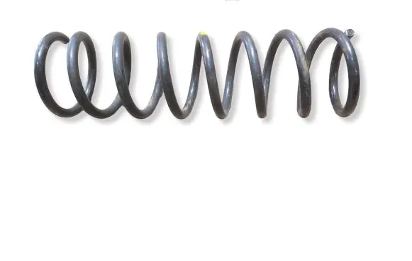 Ford Focus Rear coil spring 