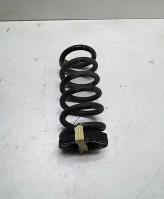 Ford Mustang VI Rear coil spring FR3C5560FC