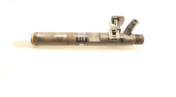 Renault Clio III Fuel injector H8200827965