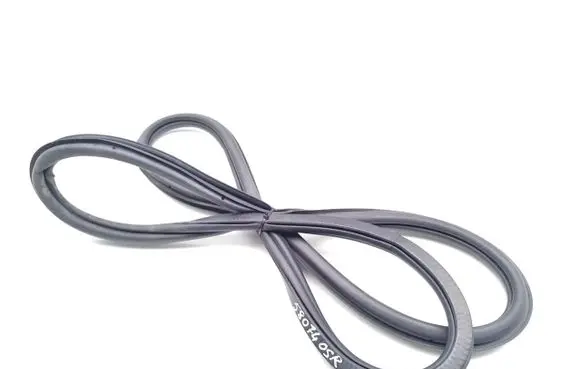 Rear door rubber seal (on body)