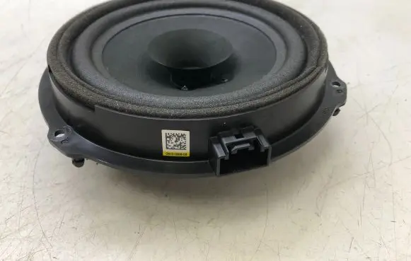 Rear door speaker