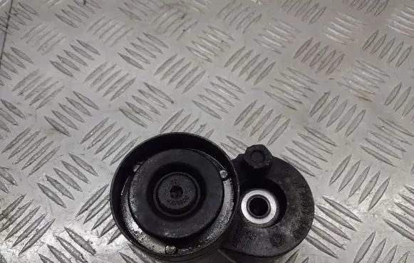 Renault Megane II Alternator belt tensioner pulley 6730904628
