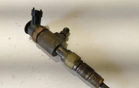 Citroen Berlingo Fuel injector 870692