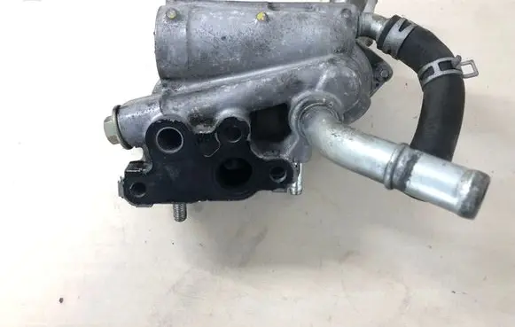 Thermostat/thermostat housing