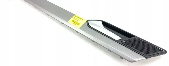 Volkswagen PASSAT B8 USA Rear door trim (molding) 3G0867419 JP9 new brushed