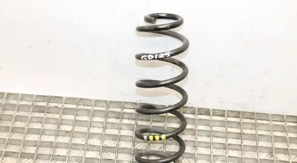 Audi Q3 8U Rear coil spring