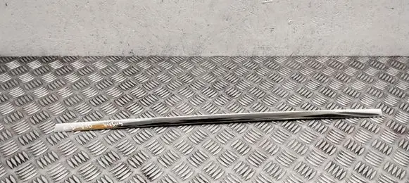 Volvo V70 Rear door glass trim molding