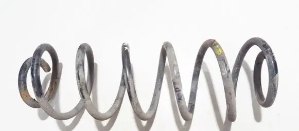 Ford Fusion Rear coil spring