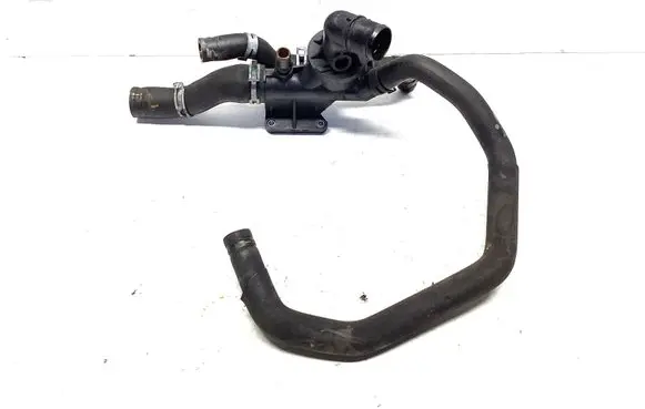 Thermostat/thermostat housing