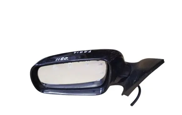 Skoda Octavia Mk2 (1Z) Front door electric wing mirror E8012658