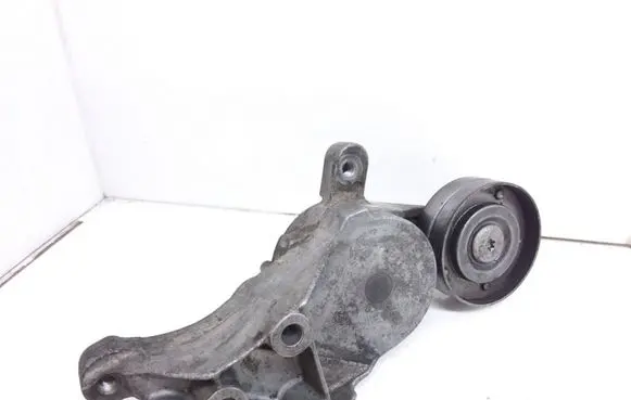 Volkswagen Golf IV Generator/alternator belt tensioner 04343010002