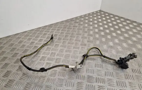 Negative earth cable (battery)