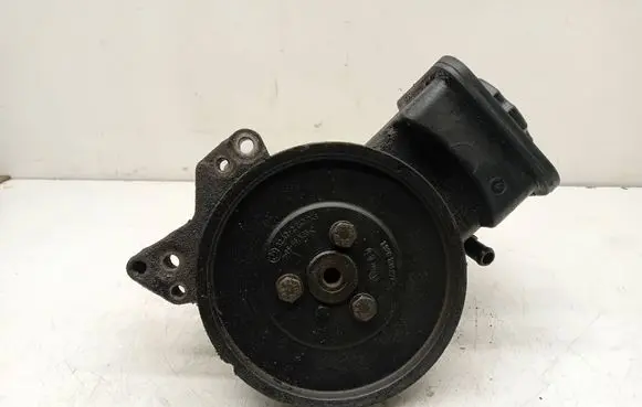 BMW 5 E39 Power steering pump 1928100271