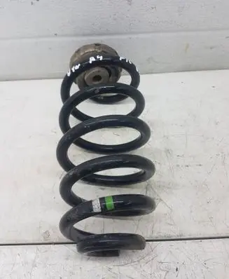 Rear coil spring