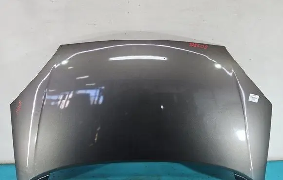 Engine bonnet/hood