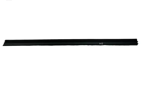 Citroen DS5 Rubber seal front coupe door 