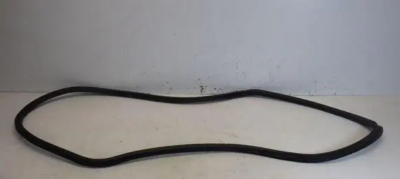 Audi Q3 F3 Front door rubber seal Q3F3