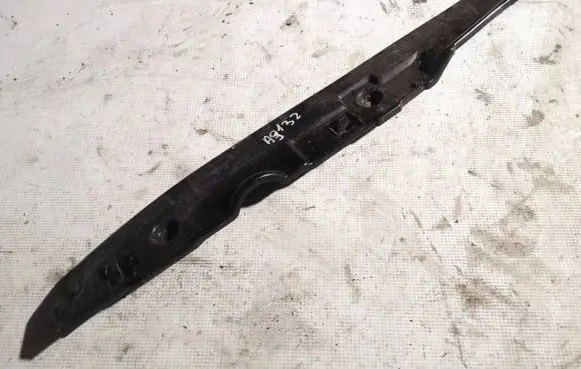 Fender trim (molding)