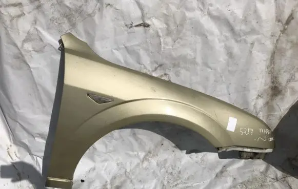 Front fender indicator light