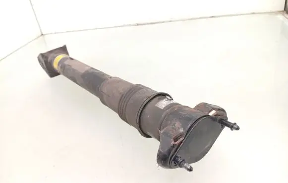 Mercedes-Benz R W251 Rear shock absorber/damper