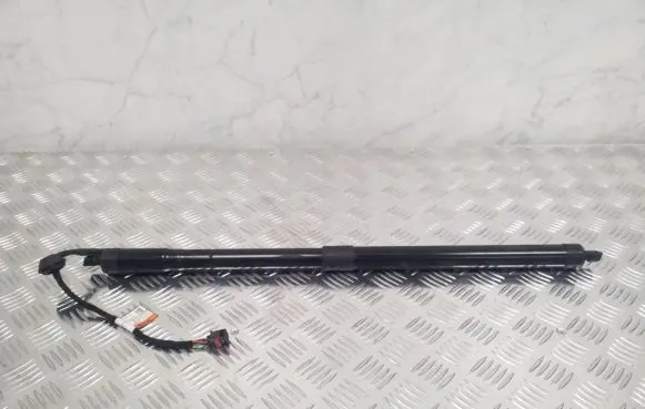 Tailgate strut