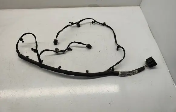 Other wiring loom
