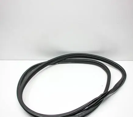 Honda Civic X Rubber seal front door (on door) 