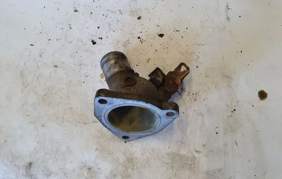 Thermostat/thermostat housing