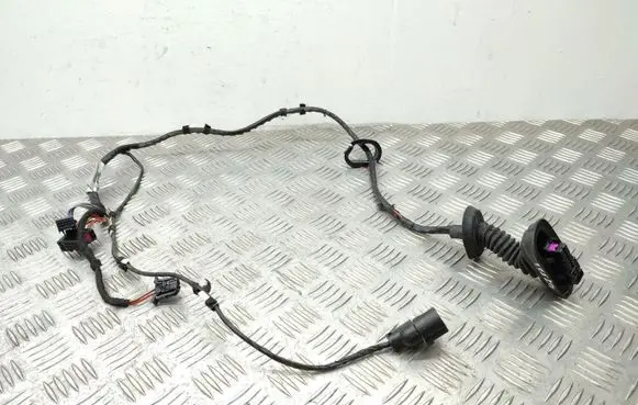 Rear door wiring loom