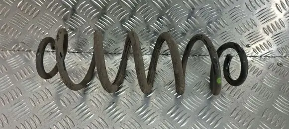 Rear coil spring