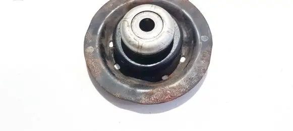 Coil spring mount