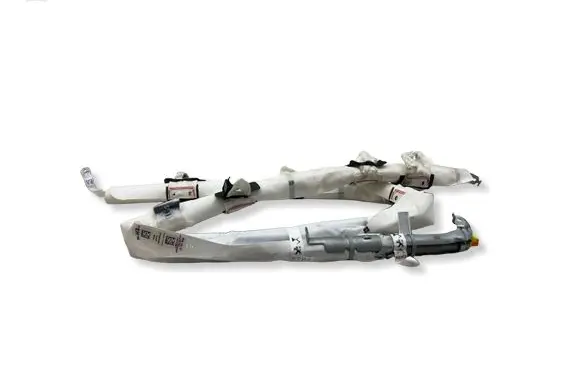 Citroen C4 III e-C4 Roof airbag D16504482