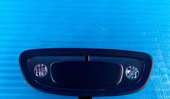 Volvo XC60 Rear seat light 31425650