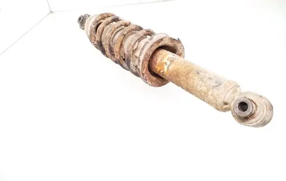Peugeot 407 Rear shock absorber with coil spring 