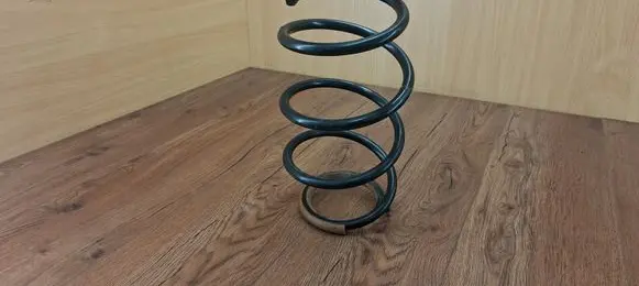 Renault Laguna III Front coil spring 540100001R