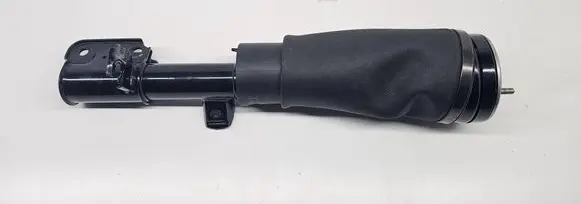 Land Rover Range Rover L322 Air suspension front shock absorber 3497672 F2310245 F2310247